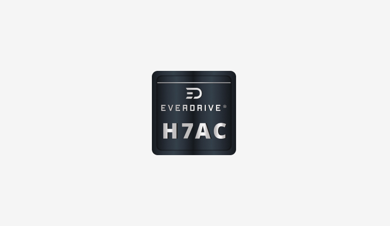 EverDrive Brushed DC Motors